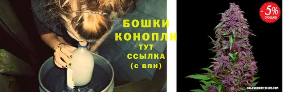 PSILOCYBIN Абинск